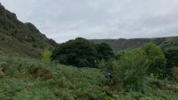 Through the Bracken below Outlaw Crag