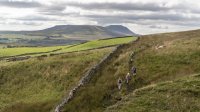 The edge of Blea Moor