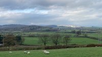 Sunlight on Whitbarrow from Hanging Hill 