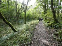 Beside the canal bed in magical Lark Spring Wood