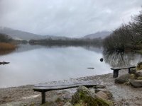 Misty view over Elter Water