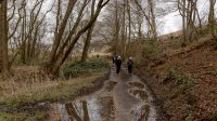 Entering Holme Wood