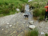 Bess has a cooling paddle