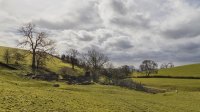 Ruins of Littlemire