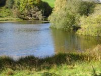 The tarn could be viewed from Harold's Hide nearby