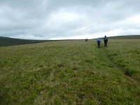 Along the White Combe ridge