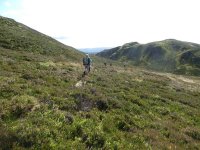 Through the heather round Meall na h-Aodainn Moire