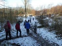 Ascending through the lower woods