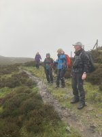 In the Wind and Rain on Lingmoor Fell