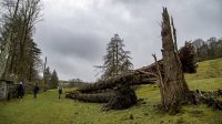 Storm damage near Summer Hill