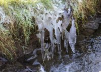 Icicles on a brook near Lupton Beck