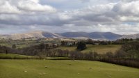 The Howgills from Patton Hall Farm