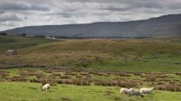 Looking back to Ribblehead Viaduct