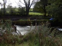 Peasey Beck weir