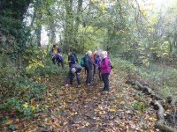 Collecting Sweet Chestnuts in Fairy Land near Hincaster