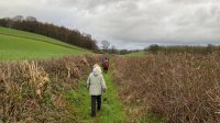 Taking the path into Dalton Park