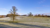 A view of Dalton Park