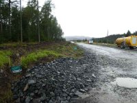 In the forest we found a new road to a bauxite mine