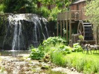 Waterwheel and force at the old mill.