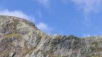 Sharp Edge in detail