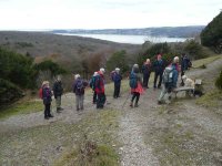 On Arnside Knott