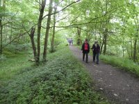 The canal in Larkrigg Spring wood