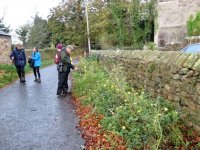 Checking the flowers in Stodday 