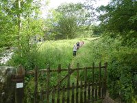 Back to Hutton Roof