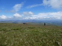 The clouds lift as we retrace our step