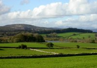 Coniston Fells beyond Leighton Moss