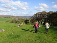 On the descent to High Longmire