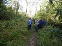 In Cricklebarrow Woods