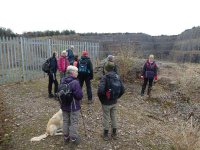 At the disused Middlebarrow Quarry