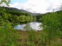 Loch Trool