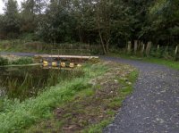 Towpath repairs