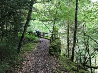 The delightful terrace path at the entrance to the Glen