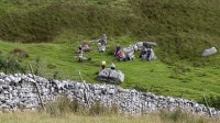 Meeting Andrea’s group near Ribblehead