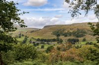 The view from Wharfe Wood