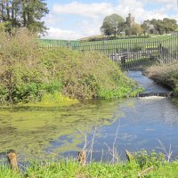 Feeder from Peasey Beck entering canal