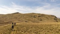 Heading to Low Moss sheepfold