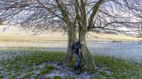 Kerstin walks through a favourite tree 