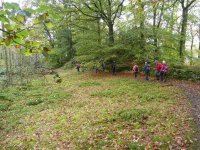 Over the first summit at Stott Park Heights