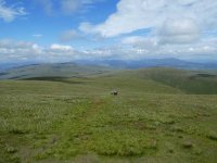 Back down the ridge of Black Combe