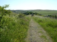 Along the track, Smardale Fell ahead	