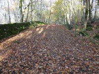 The track between Curwen Woods and the quarry