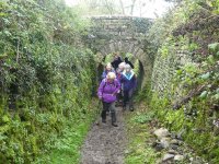 Under an Accommodation bridge on the Horse Path