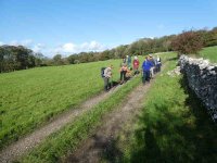 Leaving the Deepdale woods