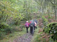 The first ascent through the autumn woods