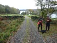 Above Gubbins Point