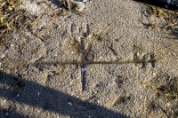 Compass mark by a disused lock 